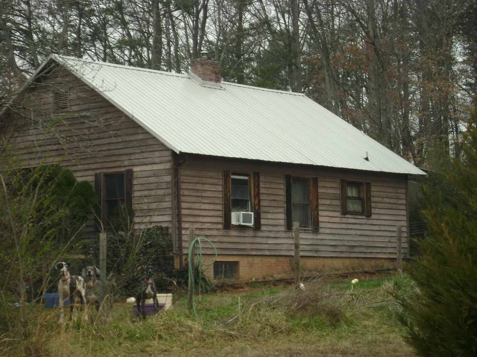 White metal roof on an old wood sided farmhouse, from a Metal Roof Installation job in Port Costa